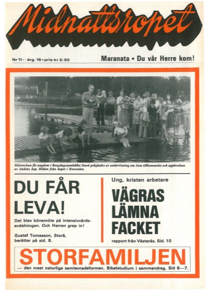 Omslag för 1976-11