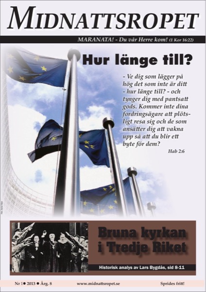 Omslag för 2013-01