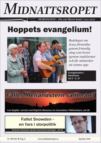 Omslag för 2013-03