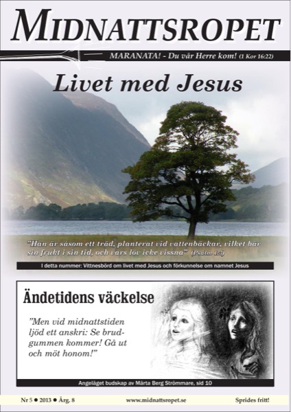 Omslag för 2013-05