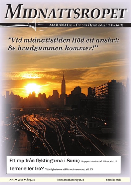 Omslag för 2015-01