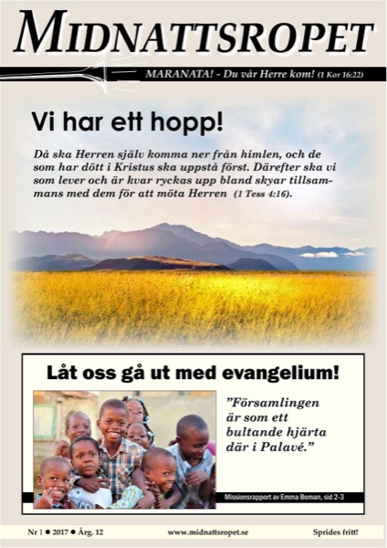 Omslag för 2017-01