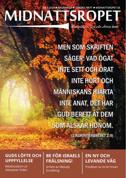 Omslag för 2025-03